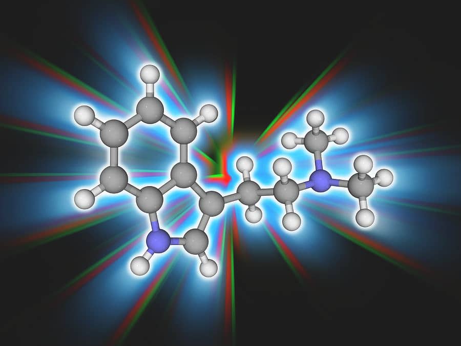 DMT DRUGS